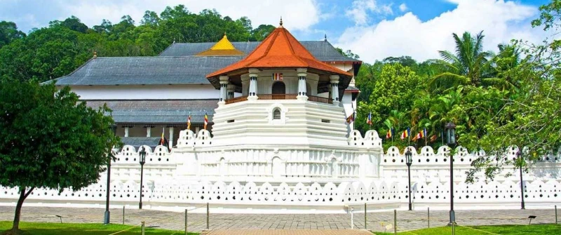 Ngày 4