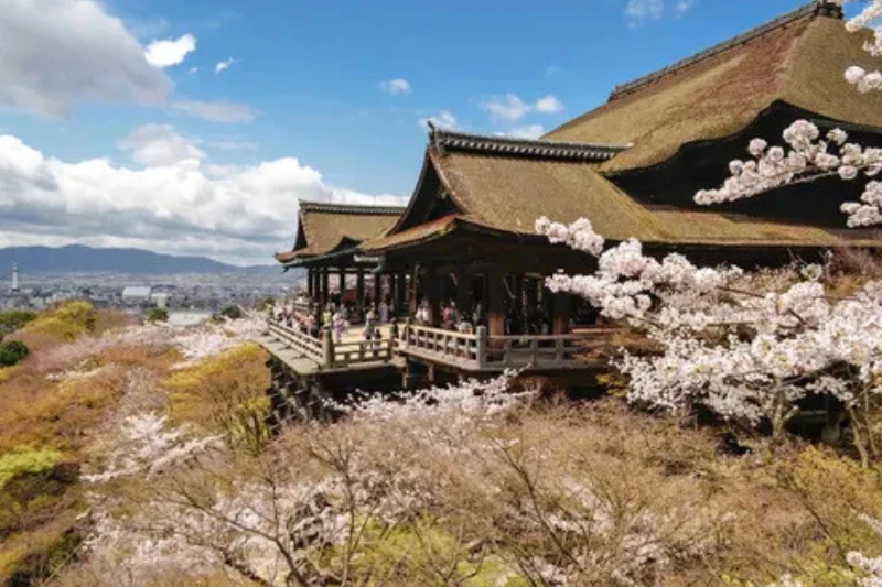 Tour Nhật Bản Cung Đường Vàng 6N5Đ: Kansai – Osaka – Kyoto – Núi Phú Sĩ – Tokyo - Bay Vietnam Airlines