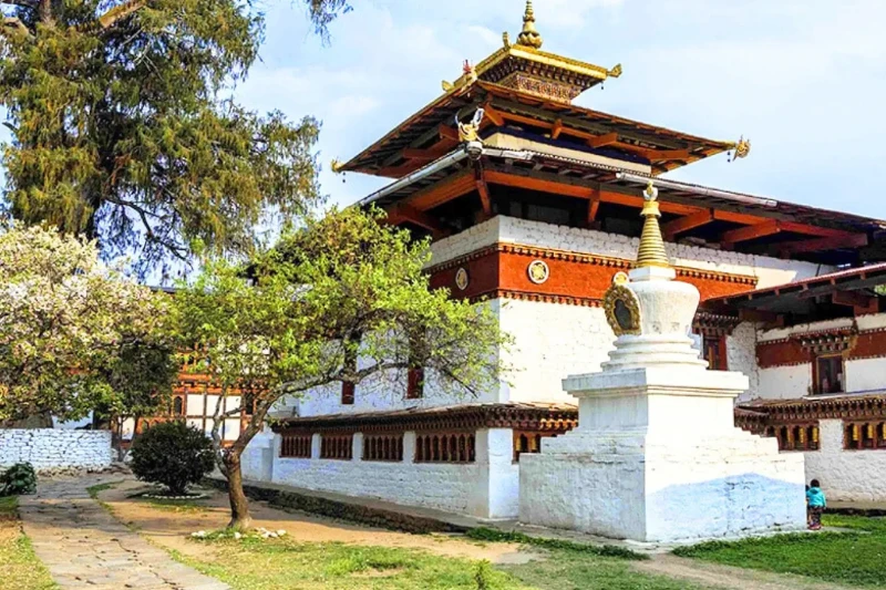 Ngày 5