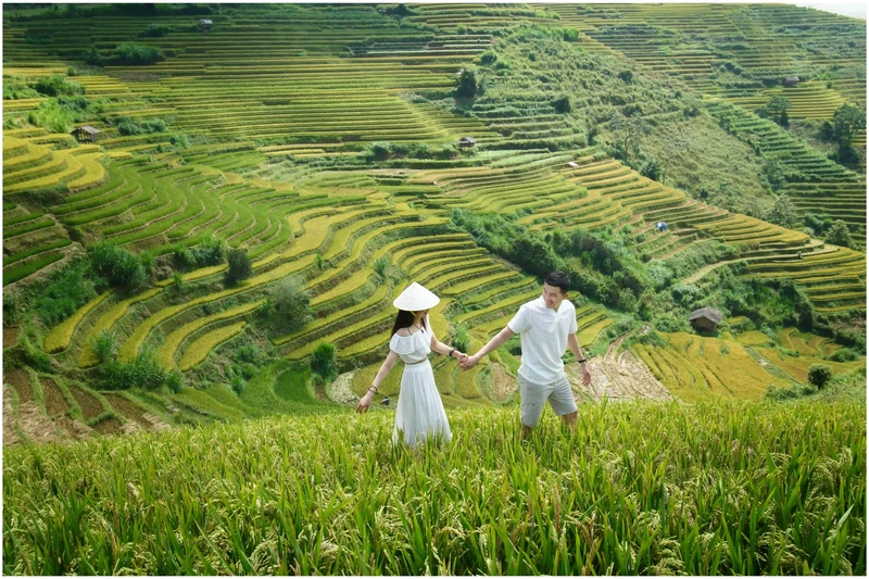 Hành Trình Trong Mơ: Chạm Vào Tự Nhiên & Văn Hóa Du Lịch Đà Nẵng - Hội An