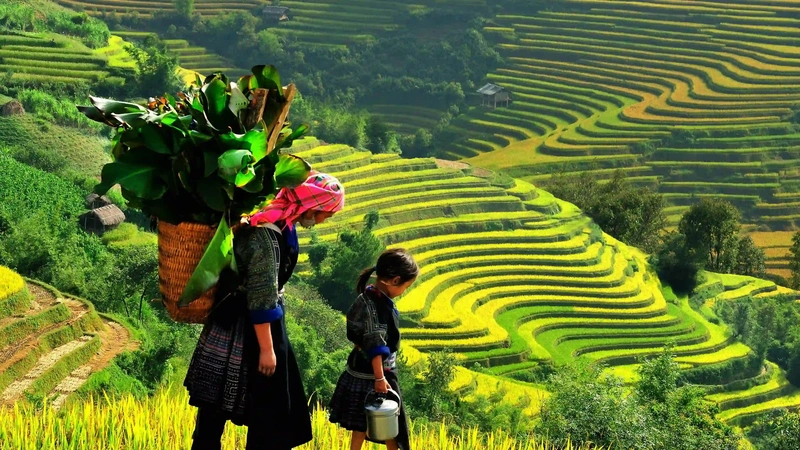 Nghỉ Dưỡng Đảo Ngọc Phú Quốc - Tặng Vé VinWonders & Safari